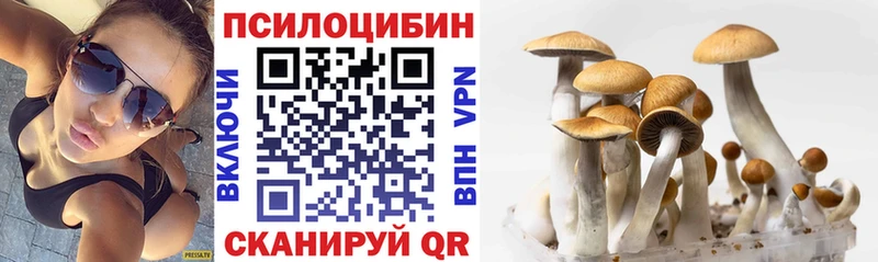 Купить закладки  Вилючинск  Галлюциногенные грибы Psilocybe 